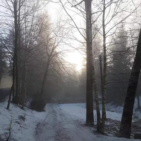 Dw Lesnik カルパッチ